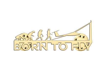 Born To Fly Glider Designed Hollow Pins Online Hot Sale